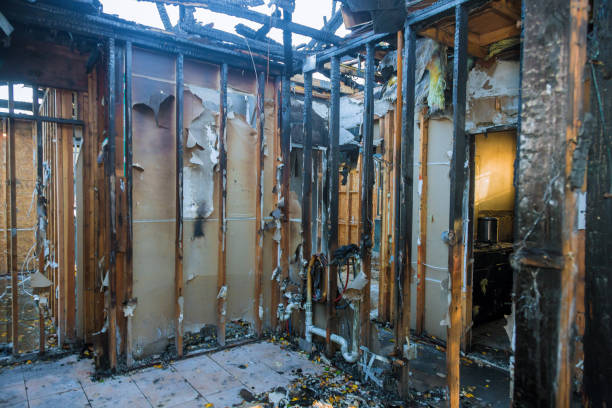 Professional Fire Damage Removal technician working in Katy, TX